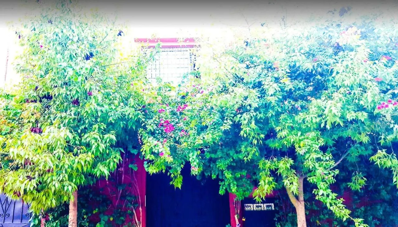 Bright Apartment Marrakech 130M² + Terrace 마라케시 모로코
